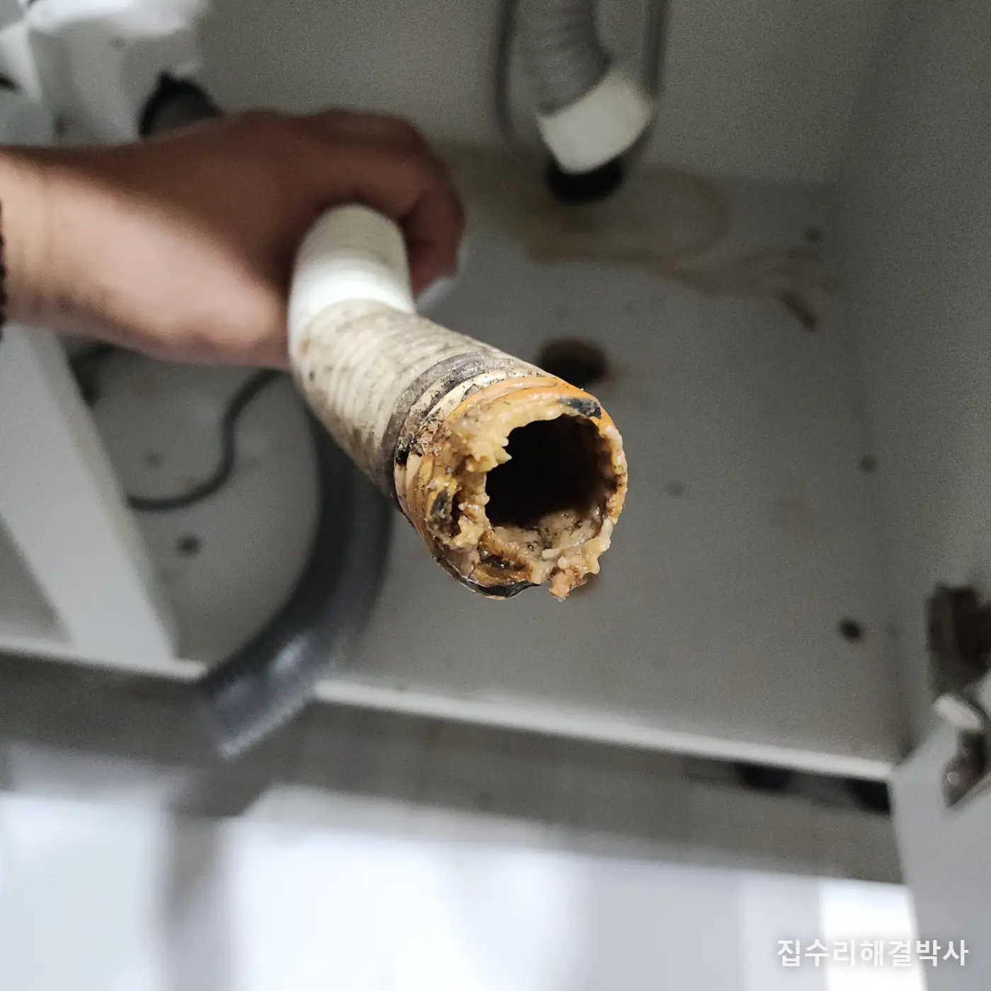 음식물분쇄기를 떼어내도 냄새가 남는 이유 — 배관에 찌꺼기가 쌓여 있습니다 시공 사진 6