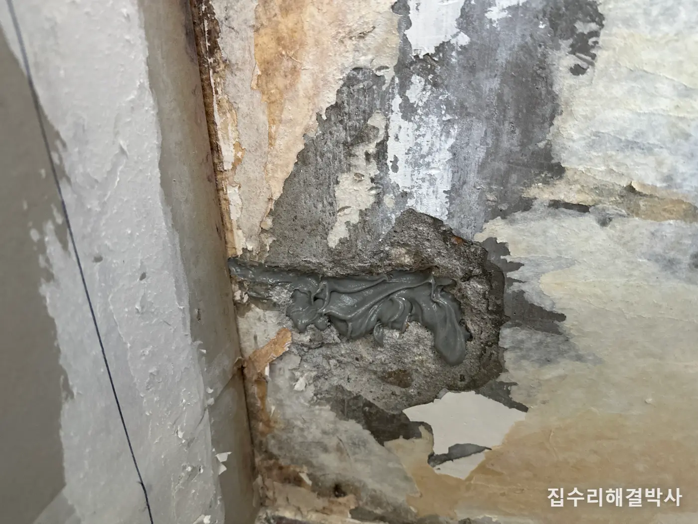 녹슨 철근으로 망가진 아파트 벽 — 녹 제거부터 미장·석고판·도배까지 복원 시공 사진 5