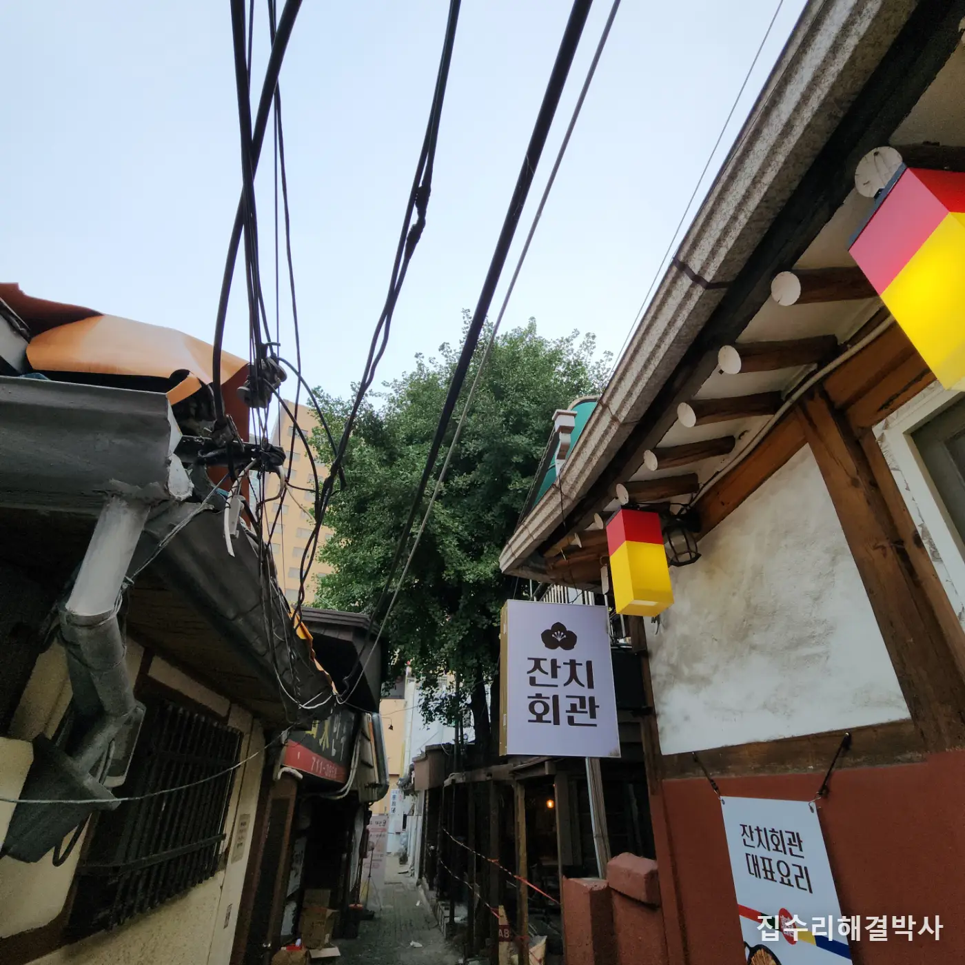 나무를 베지 않고 민원만 줄이는 법 — 장비가 못 들어오는 골목의 잔가지 전지 시공 사진 2