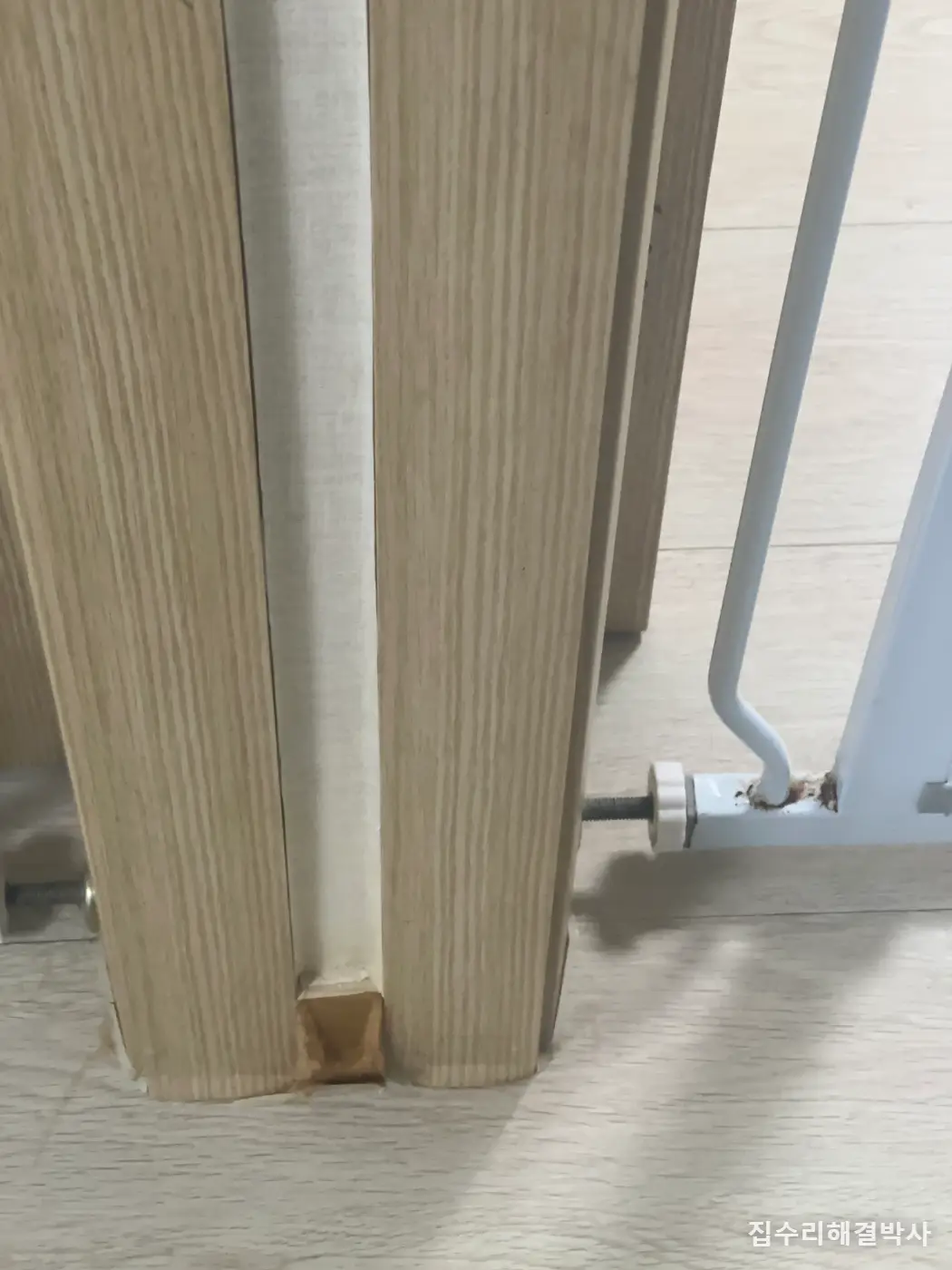 반려견 마킹으로 부푼 몰딩은 말려도 안 돌아옵니다 — 단종된 자재를 현장에서 색 맞춰 교체한 방법